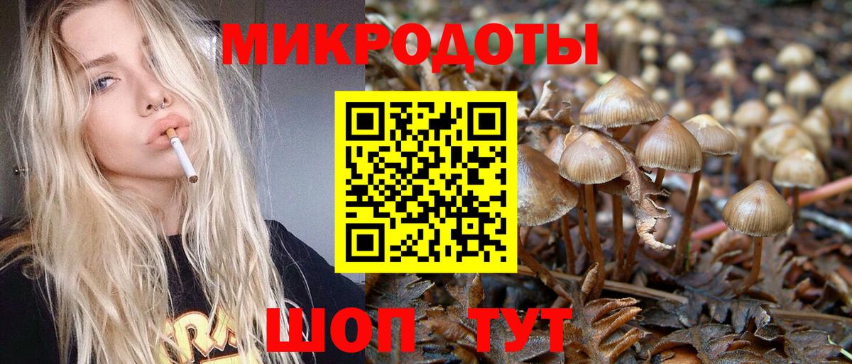 Галлюциногенные грибы мицелий Хабаровск